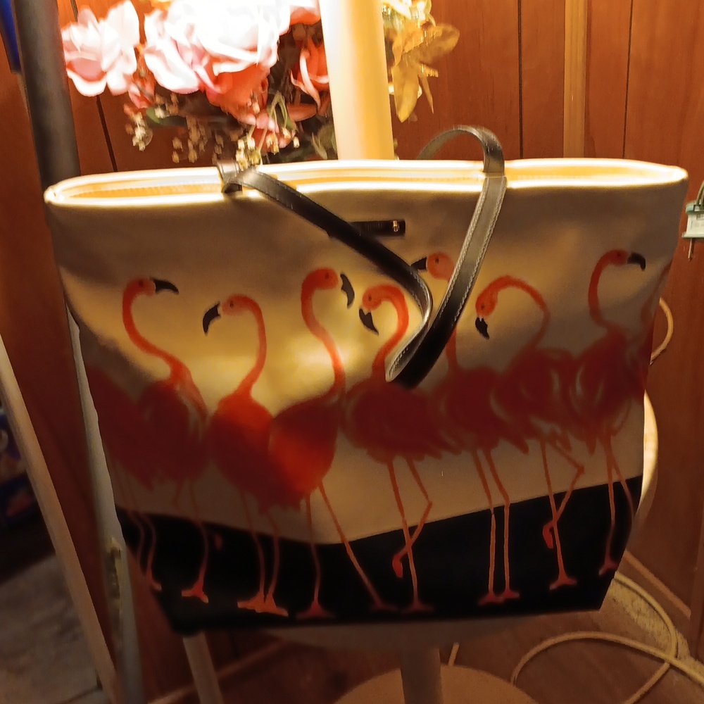Kate Spade handbag.